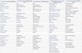 Dog Breed Dog Breed Comparison