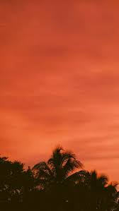 Temukan gambar stok langit langit beresolusi hd dan jutaan foto, ilustrasi, dan vektor stok tanpa royalti lainnya di koleksi shutterstock. Wallpaper Langit Orange Wallpaper Orange Aesthetic Nature Photography