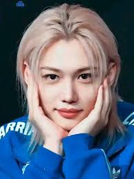 Stray Kids is a great k-pop group