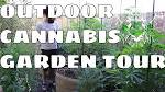 Image result for pole and dagga houses
