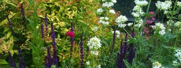 Can i plant my garden now. My Garden Right Now In Pictures Nic Wilson