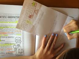 Taking a Closer Look! – Qualitative and Quantitative Observations - Your  Thrifty Co-Teacher