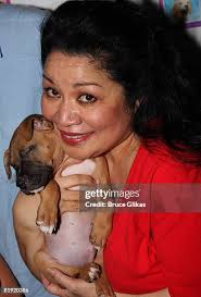 170 Ables Stock Photos, High-Res Pictures, and Images