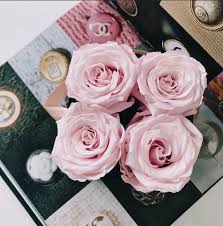 Skip to main content skip to main menu skip to footer for help ordering a gift, click to call our customer support line or reach us directly at 1.800.580.2913 The Four Season Rose Eternal Fleur Weddingideas Birthday Babyshower Engagement Boxedroses Roses Flores Rosas
