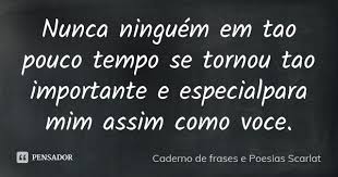 Nunca Ninguem Em Tao Pouco Tempo Se Caderno De Frases E Poesias