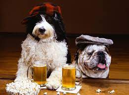 382 Trending Alcohol Names For Dogs