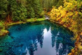 Blue Pool Mckenzie River Oregon Oregon Travel Places To Travel Beautiful Places