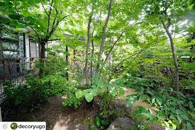 今の 雑木の庭 を見て思うこと part1 ー輪鼓装飾店ー 揖斐川 庭 シェードガーデン 庭の装飾