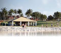 Pagamentodedividendosaumenta