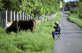 Wo sind die schönsten nationalparks und besten sehenswürdigkeiten der slowakei? Reiseinformationen Und Sehenswurdigkeiten Slowakei