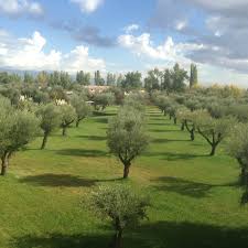 Michelle Nelson | The Edible Tablecloth