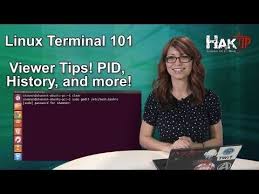 Linux Terminal 101 Viewer Tips Pid History And More Linux Tips History