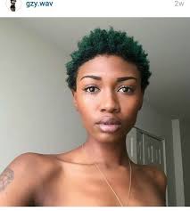 Green Twa Natural Hair Styles Afro Hair Dye Natural Hair Styles For Black Women