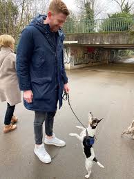 Da waren es nur noch sechs: Prince Lars Und Der Blinde Hund Hunderunden