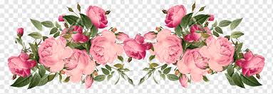 Like it and pin it. Pink Petaled Flowers Illustration Flower Rose Pink Peonies Purple Blue Flower Arranging Png Pngwing