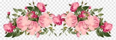 Bunga pink undangan pernikahan, bunga pink, merangkai bunga pink dan putih, lukisan cat air, merangkai bunga png. Pink Petaled Flowers Illustration Flower Rose Pink Peonies Purple Blue Flower Arranging Png Pngwing