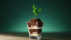 Receita Facil De Mousse De Menta Com Chocolate Da Raiza Costa Do Dulce Delight Dulce Delight Food Dulce