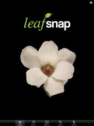 Because of this, it may be the most accurate of the apps. An App That Will Identify Plants From Just The Snap Of A Picture Grow Something Green