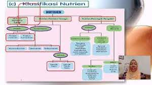 Download rpt sains rumah tangga tingkatan 4 yang dapat di cetak dengan senang pekeliling terbaru kerajaan. Bab 4 1 Keperluan Makanan Nutrien Dan Fungsinya Subjek Sains Rumah Tangga Tingkatan 4 Youtube