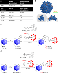 Image result for Gold 1998 AAV