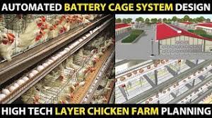 Modern house concepts from around the. Automated Battery Cage Poultry Farm Design Layer Chicken Farm Design Planning Ideas Youtube