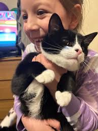 This is Nala. Nala is carried around like a rag doll numerous times a day  by every child in the household. Nala loves the bath and sink. Nala prefers  to lie in