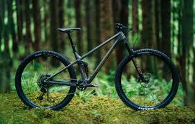 Transition Bikes Spur 2021 Neuer 120 Mm Flitzer Aus Den Usa Mtb News De In 2020 Federgabel Mtb Flaschenhalter