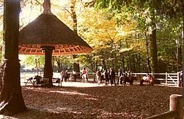 In 2004 werd het bos door natura 2000 uitgeroepen tot speciale beschermingszone. Ter Kamerenbos Wikipedia