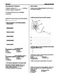 Nervous System Worksheet Nervous System Nervous Ap Psychology