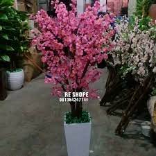 Bunga sakura adalah bunga yang identik dengan bangsa jepang. Jual Bunga Sakura Pohon Hiasan Rumah Cantik Kuning Kab Bogor Re Shope Tokopedia