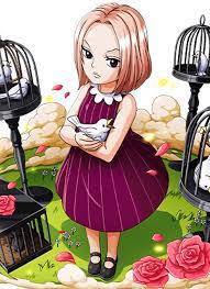 Hina Kid One Piece Anime Animation