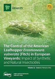 Try life without ants, spiders, fleas, roaches, yellow jackets, hornets, wasps, bed bugs, earwigs, silverfish, cockroaches, beetles, pantry moths, flies, rats, mice, gophers or moles. Insects February 2021 Browse Articles