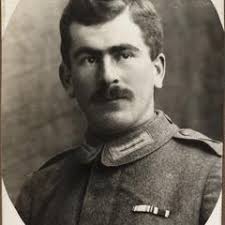 The war garden victorious, by Charles Lathrop Pack ...