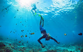Palung laut bukan merupakan gejala baru di dunia perlautan. Palung Laut Terdalam Di Bumi Ada Di Asia Juga Futuready