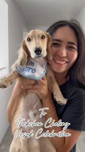 Yvette Kim || Knitter