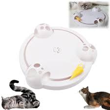pin on pets stuff