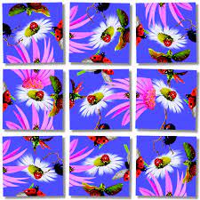 Butterflies, along with moths, are members of the lepidoptera order of insects. Ladybugs 9 Pieces Scramble Squares Puzzle Warehouse