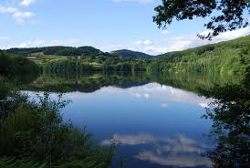 It manages a drainage basin of 220 km2. Aire De Service Pour Camping Car De Chaumard Chaumard Page 2 Offizielle Website Fur Tourismus In Burgund