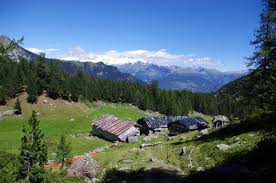 Natural Park Mont Avic Picture Of Natural Park Mont Avic Aosta Tripadvisor