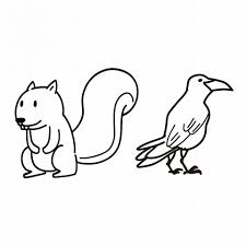 Researchers look at tree squirrel populations to measure just how well a forest ecosystem is faring. Squirrel And Crow Tempeh Home Facebook