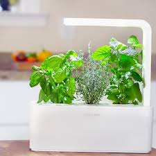 We did not find results for: How To Grow Plants Under Lights The Home Depot