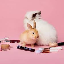 Is Essence Cruelty-Free? | 2021 Cruelty-Free Kitty Update
