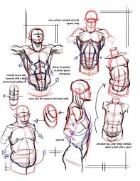 All i know now is that i'm rusty at drawing male anatomy lol. Tutorial How To Draw Bodies For Anime Male Anatomy Dubai Khalifa