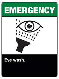 Eyewash station inspection template excel baldcirclespecialists : Back Bones Back Bones Illustration High Res Vector Graphic Getty Images Emas Batangan