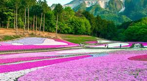 13 gambar pemandangan paling indah di dunia gambar pemandangan cantik di malaysia yang hipster dan perlu download 10 bandara deng di 2020 pemandangan gambar dunia Enam Pemandangan Alam Paling Berwarna Di Dunia Lifestyle Liputan6 Com