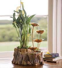 17 Great Diy Indoor Water Garden Ideas