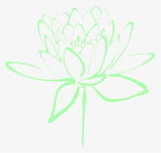 Check spelling or type a new query. Floral Clipart Png Images Free Transparent Floral Clipart Download Kindpng