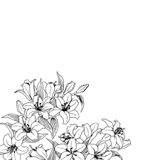 Pin By Carmen Xp On Handmade Beauty Flower Drawing Tumblr Flower Flower Drawing Tumblr