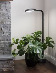 Floor Plant Lamp Full Specrum Cfl Grow Light Free Shipping Grow Lights Grow Lights For Plants Floor Plants