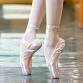 Pointe- Classical Ballet event in Paonia, CO